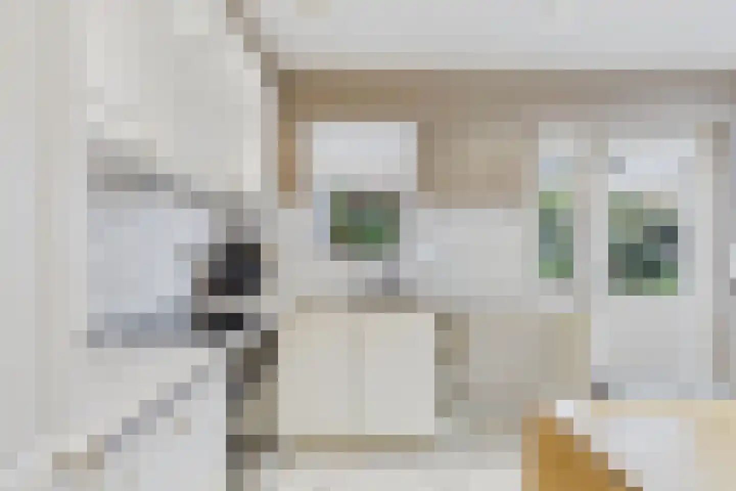 van Dortmontlaan 18 Hulst thumbnail 12