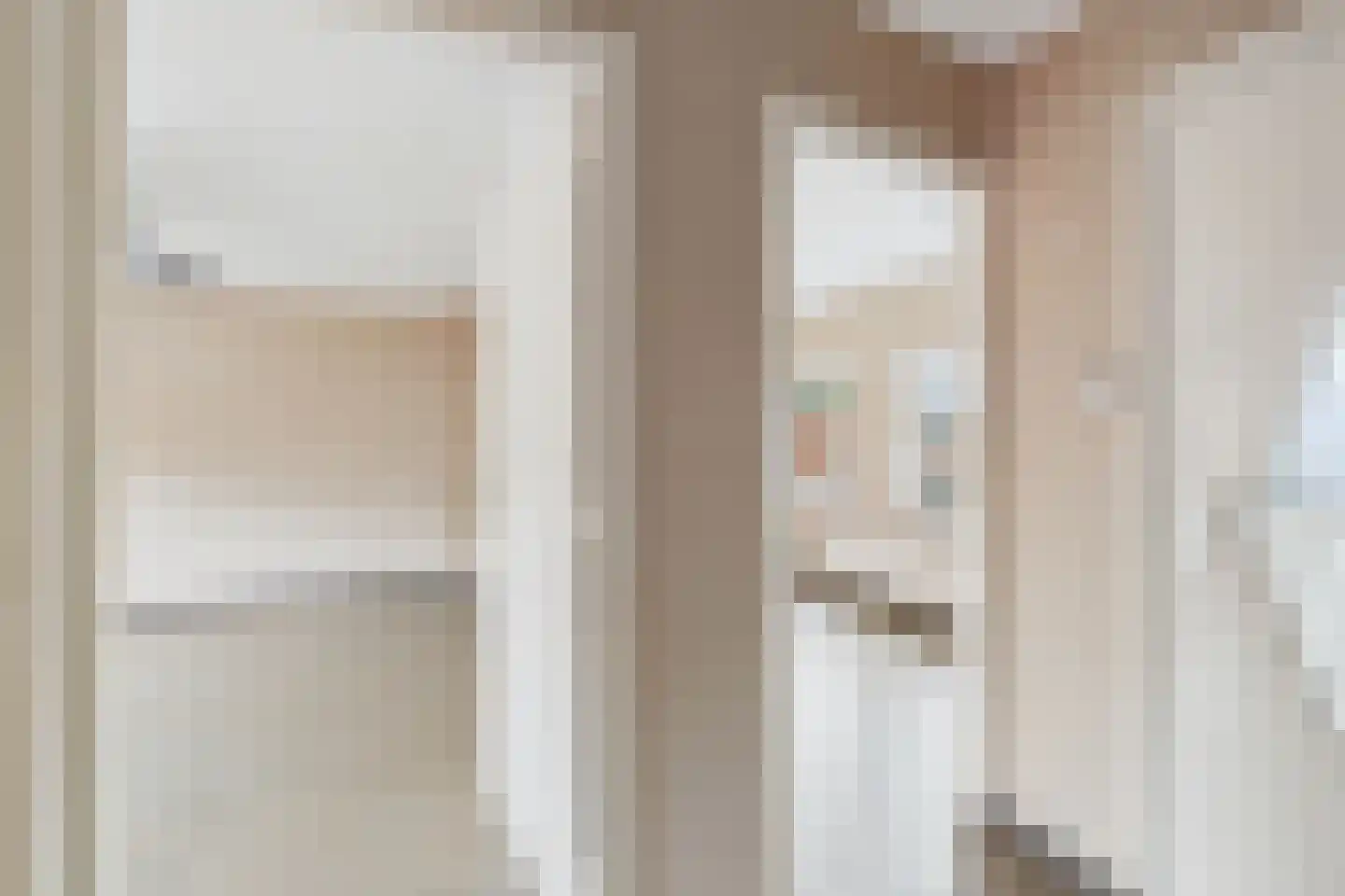 van Dortmontlaan 18 Hulst thumbnail 21