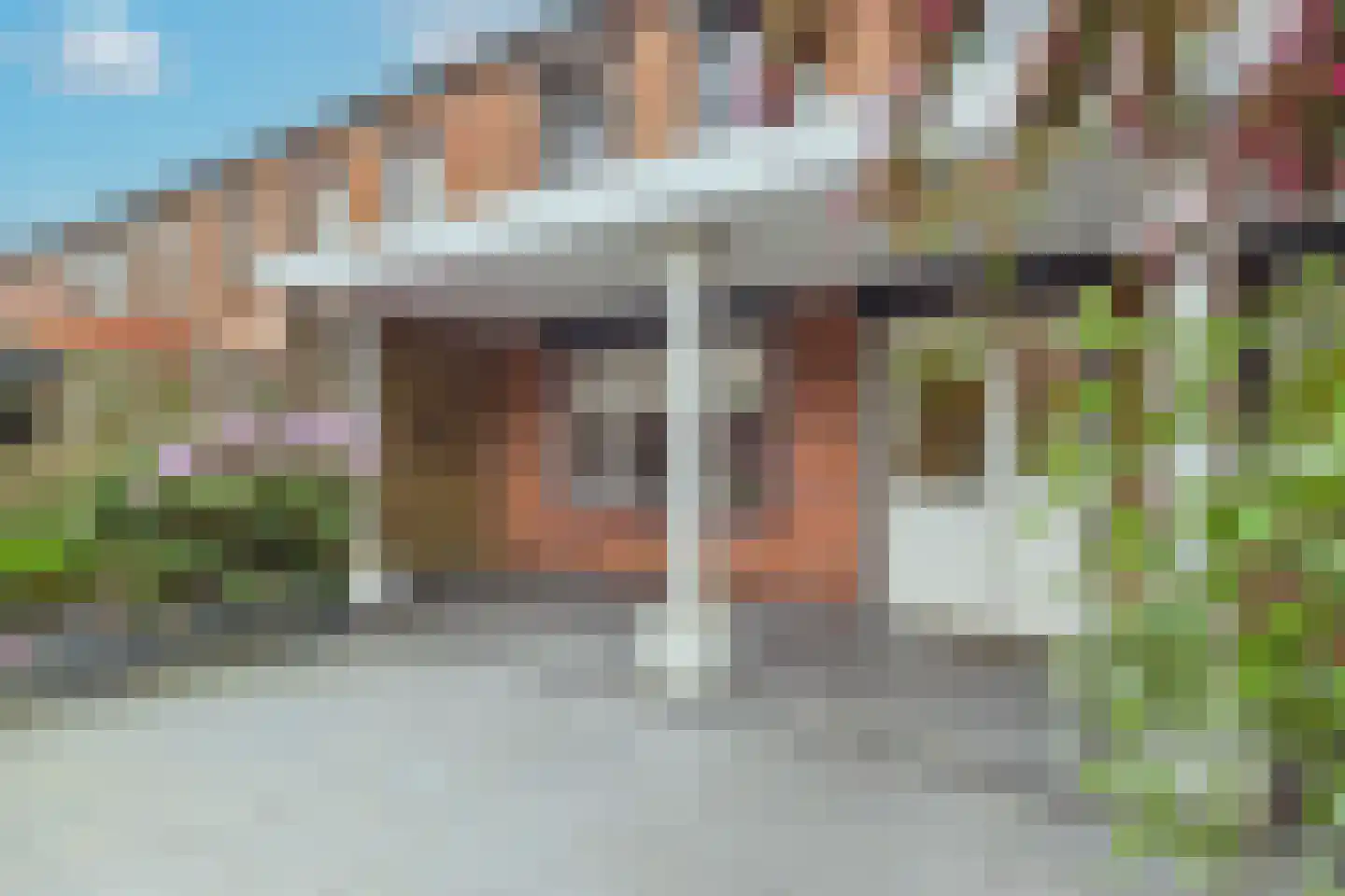 van Dortmontlaan 18 Hulst thumbnail 31