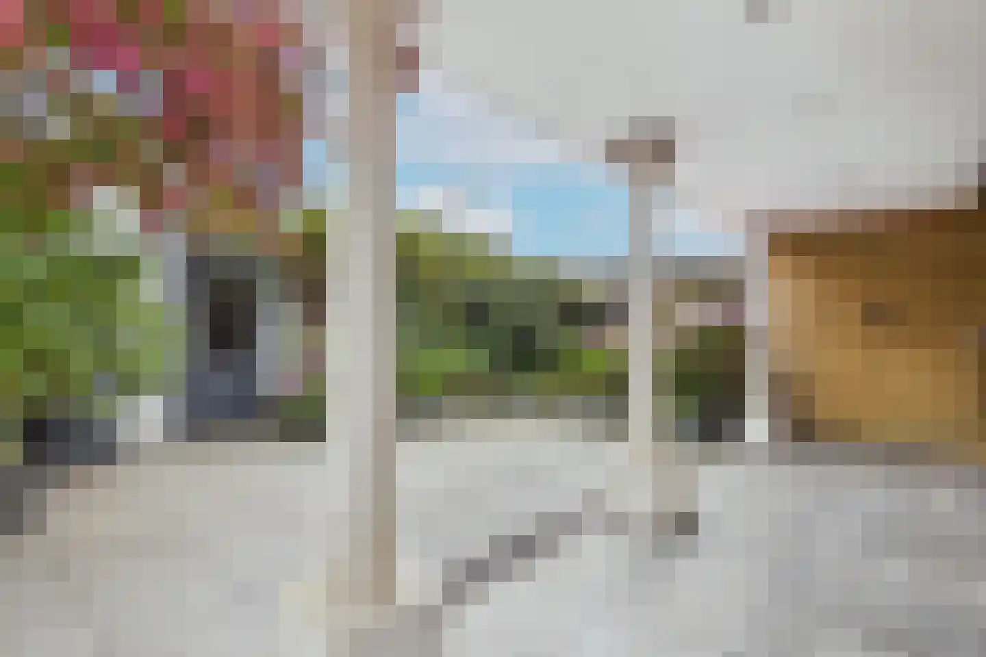 van Dortmontlaan 18 Hulst thumbnail 32
