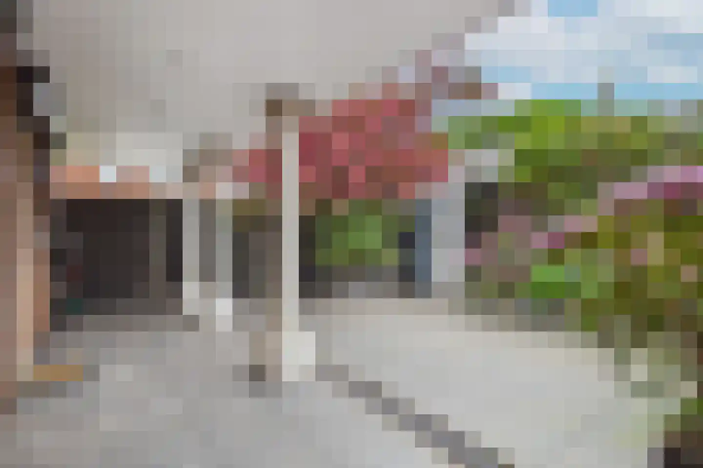van Dortmontlaan 18 Hulst thumbnail 33