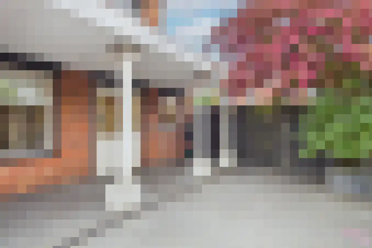 van Dortmontlaan 18 Hulst thumbnail 34