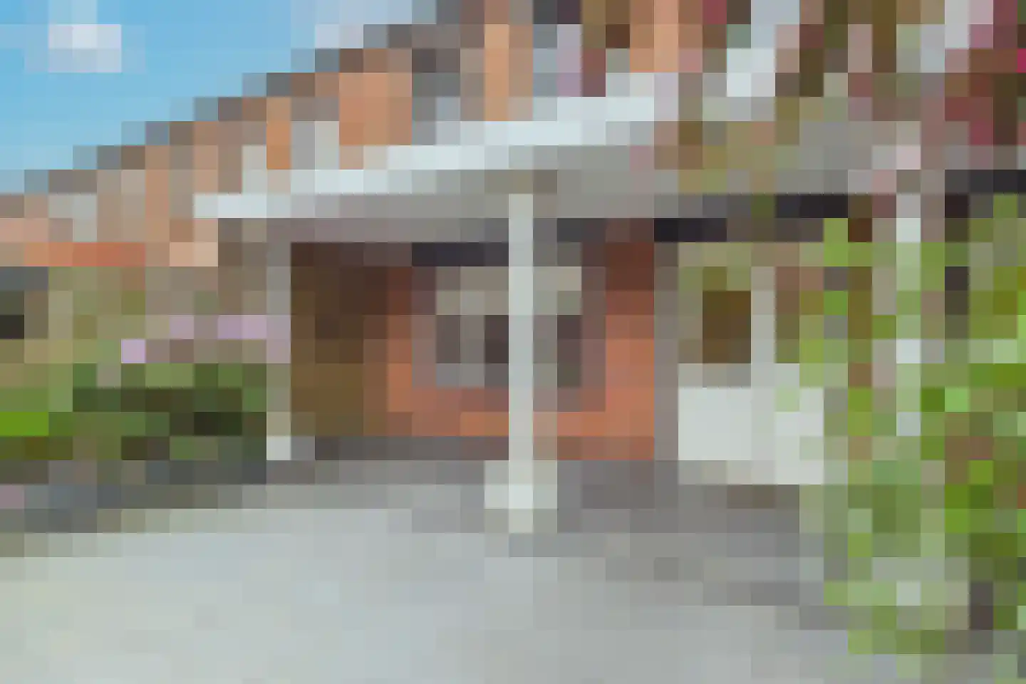 van Dortmontlaan 18 Hulst thumbnail 5