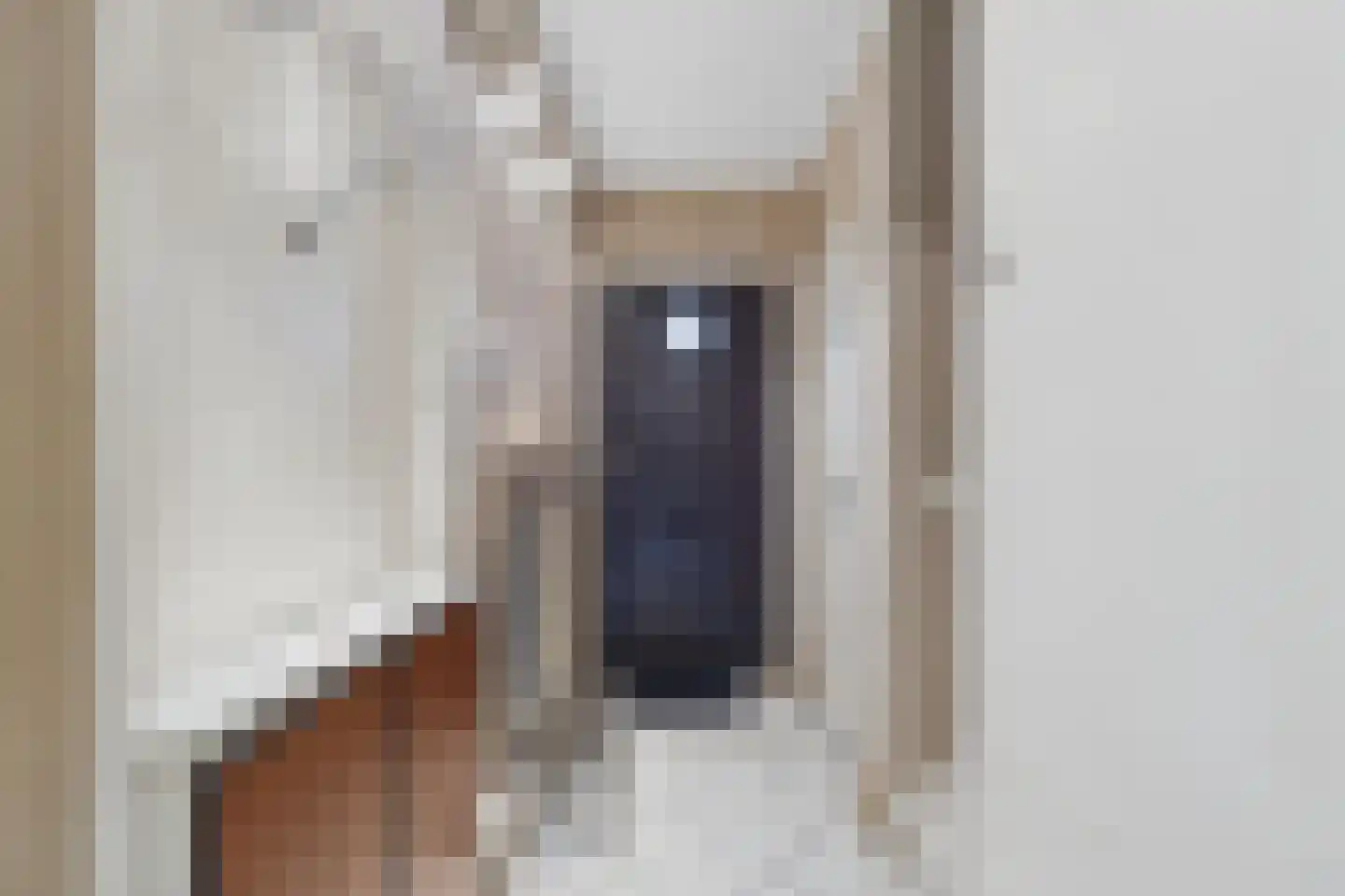 van Dortmontlaan 18 Hulst thumbnail 7