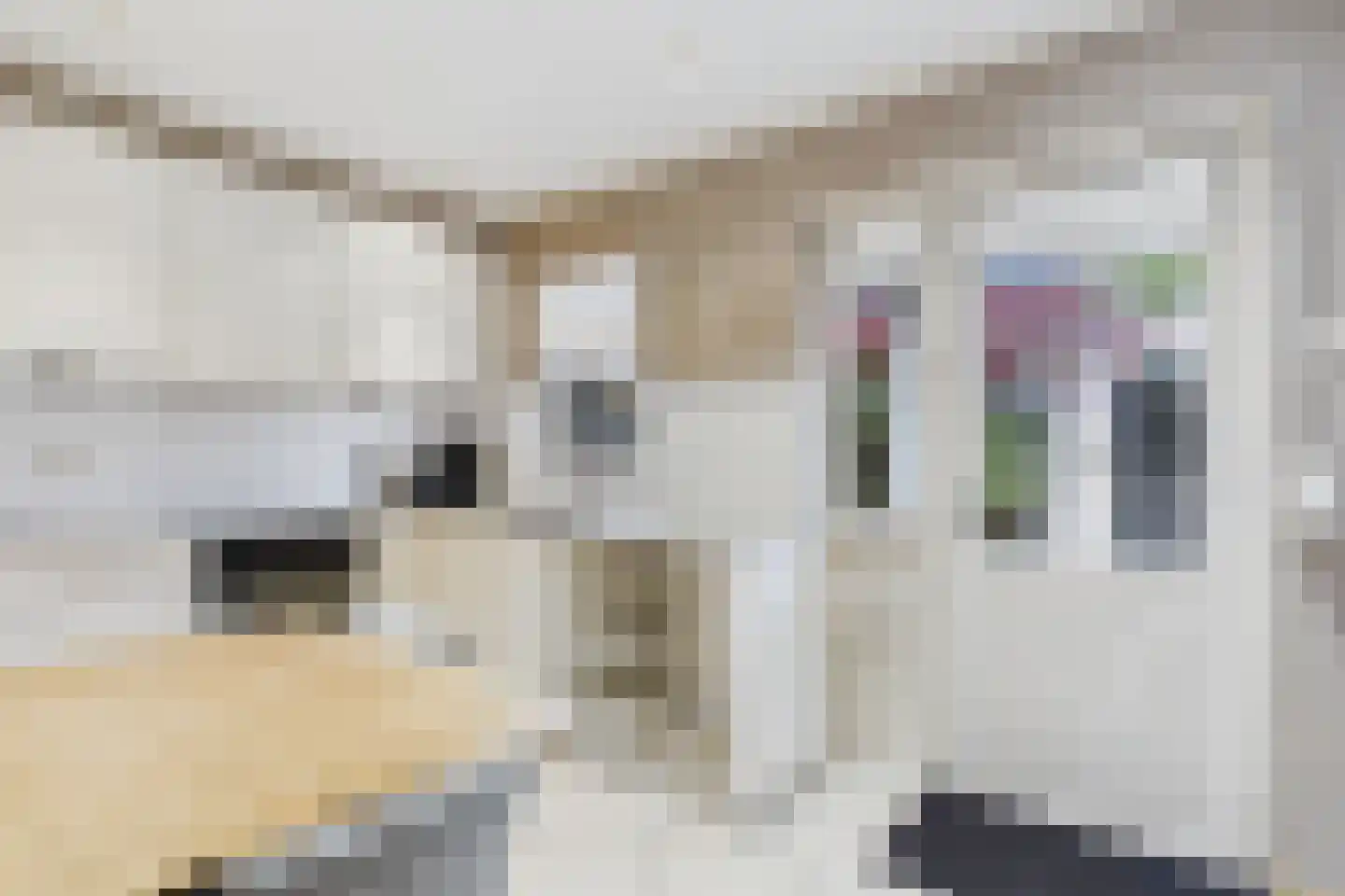 van Dortmontlaan 18 Hulst thumbnail 9