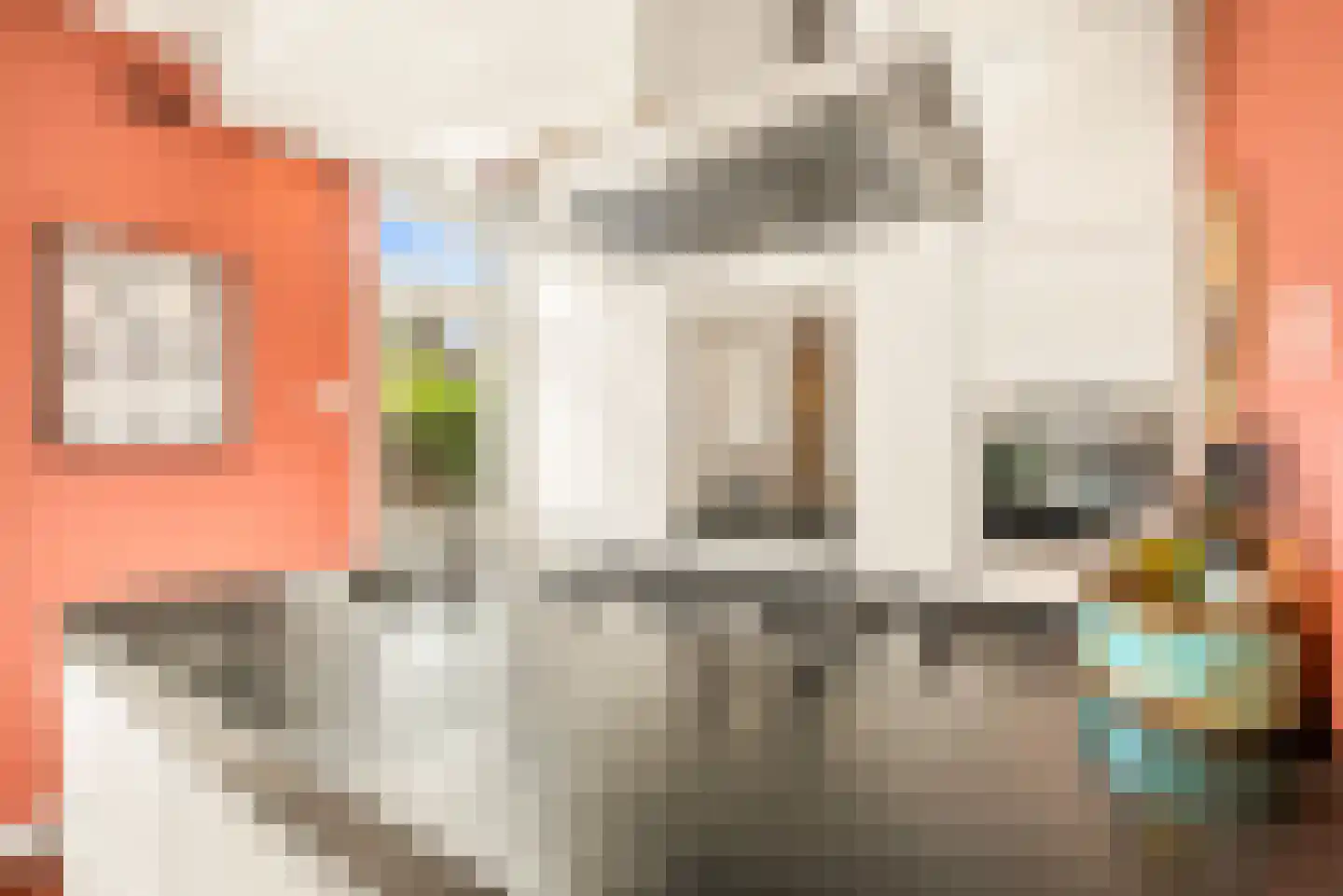 Van Dortstraat 4 Haarlem thumbnail 21