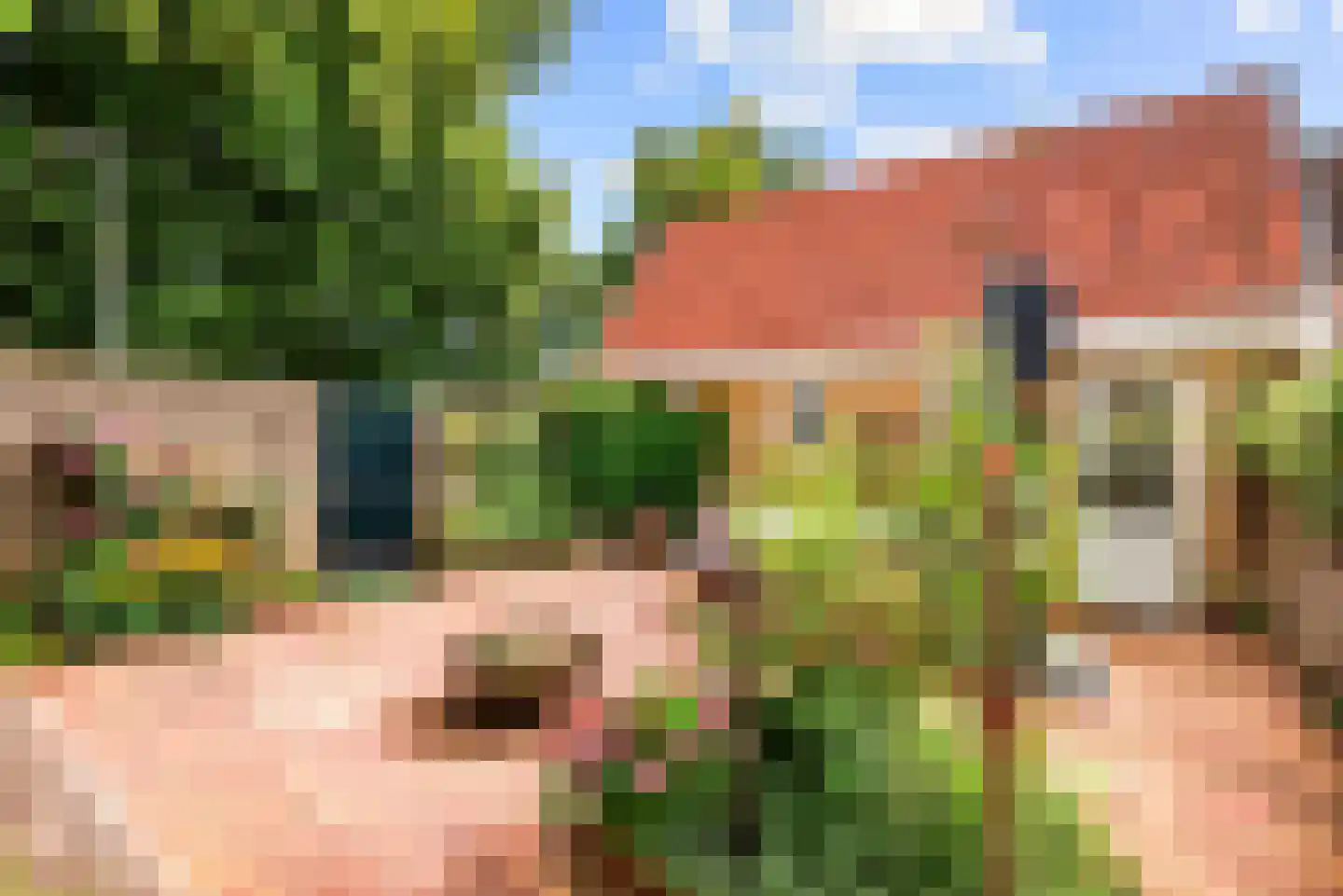 Van Dortstraat 4 Haarlem thumbnail 27