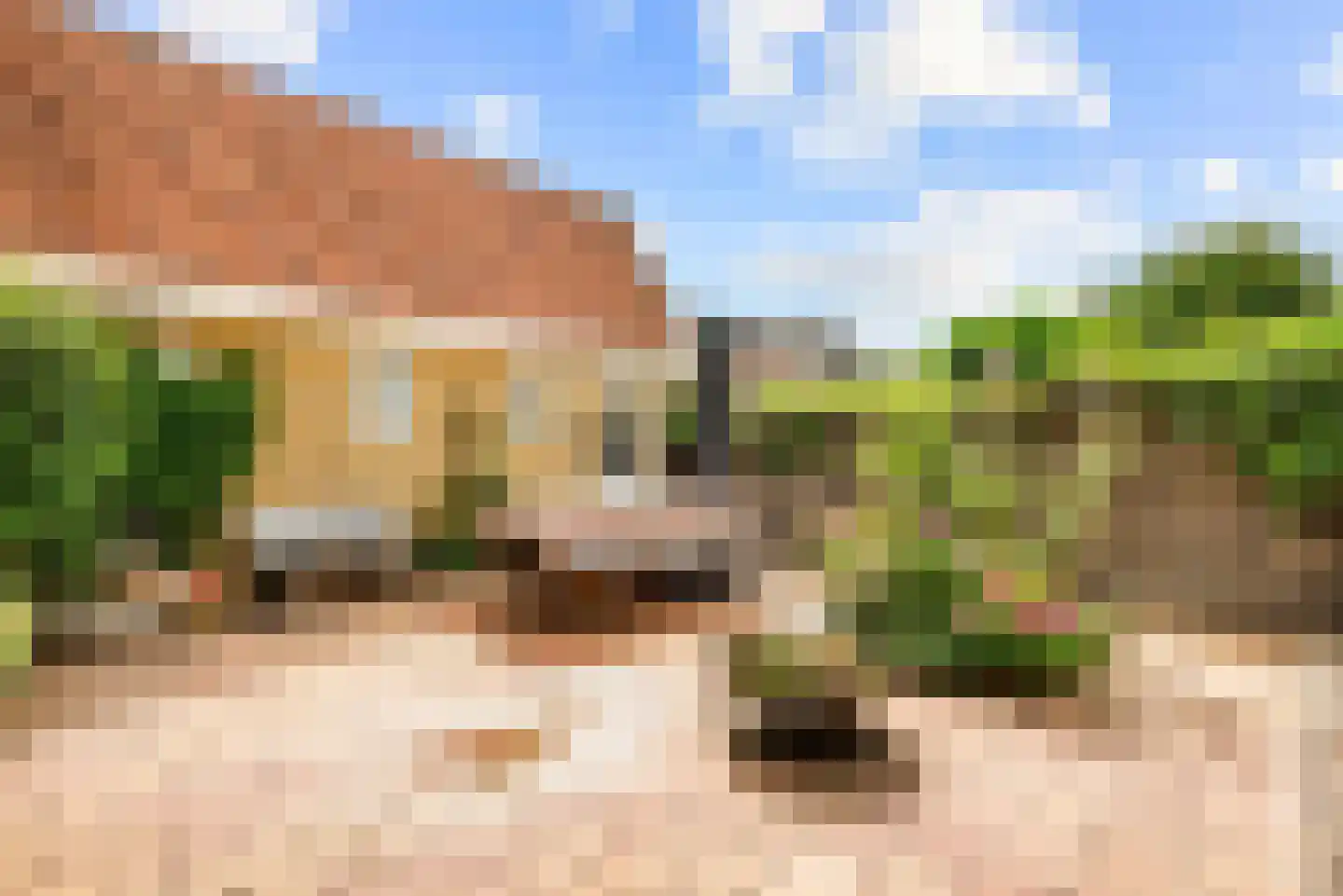 Van Dortstraat 4 Haarlem thumbnail 28