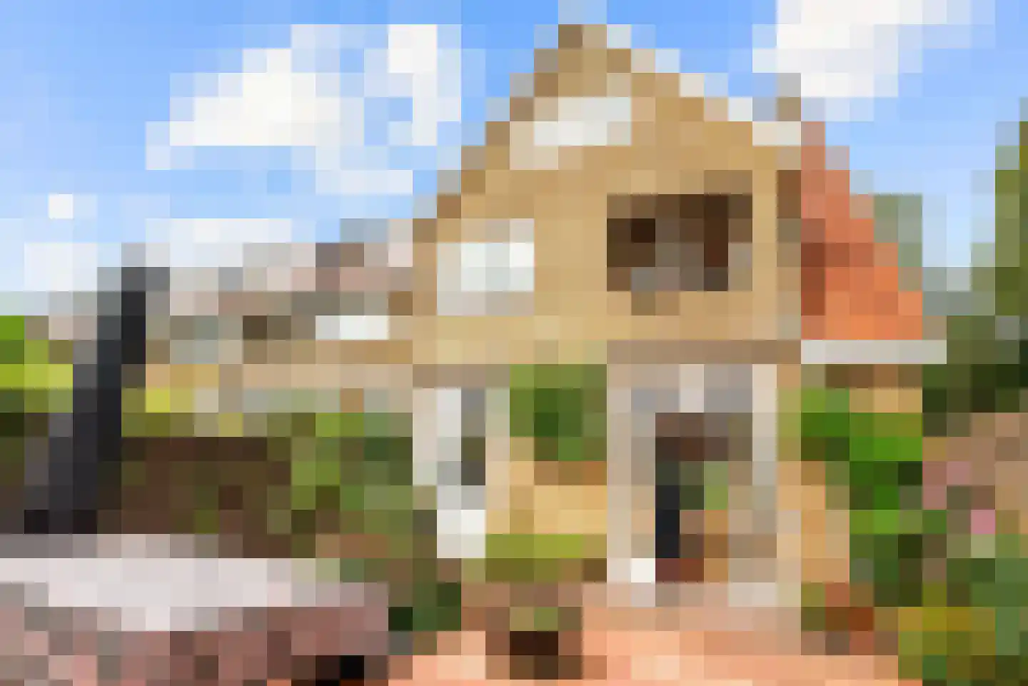 Van Dortstraat 4 Haarlem thumbnail 30