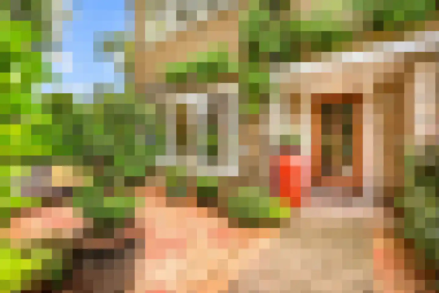Van Dortstraat 4 Haarlem thumbnail 4