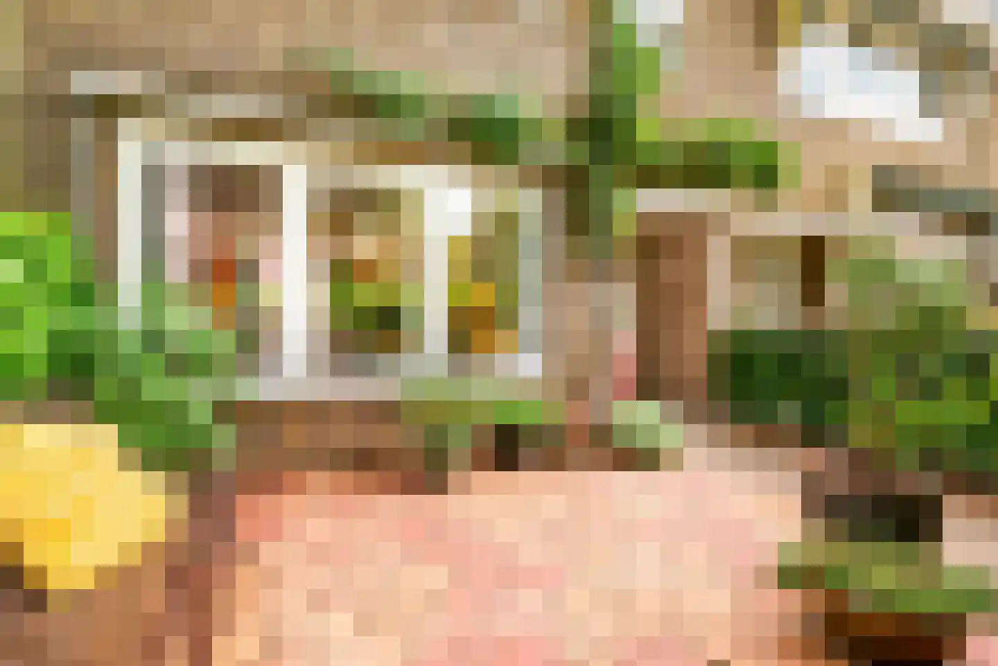 Van Dortstraat 4 Haarlem thumbnail 5