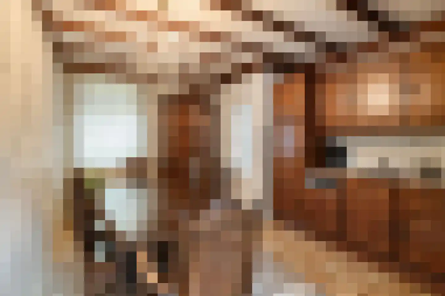 van Douverenstraat 14 Horst thumbnail 11