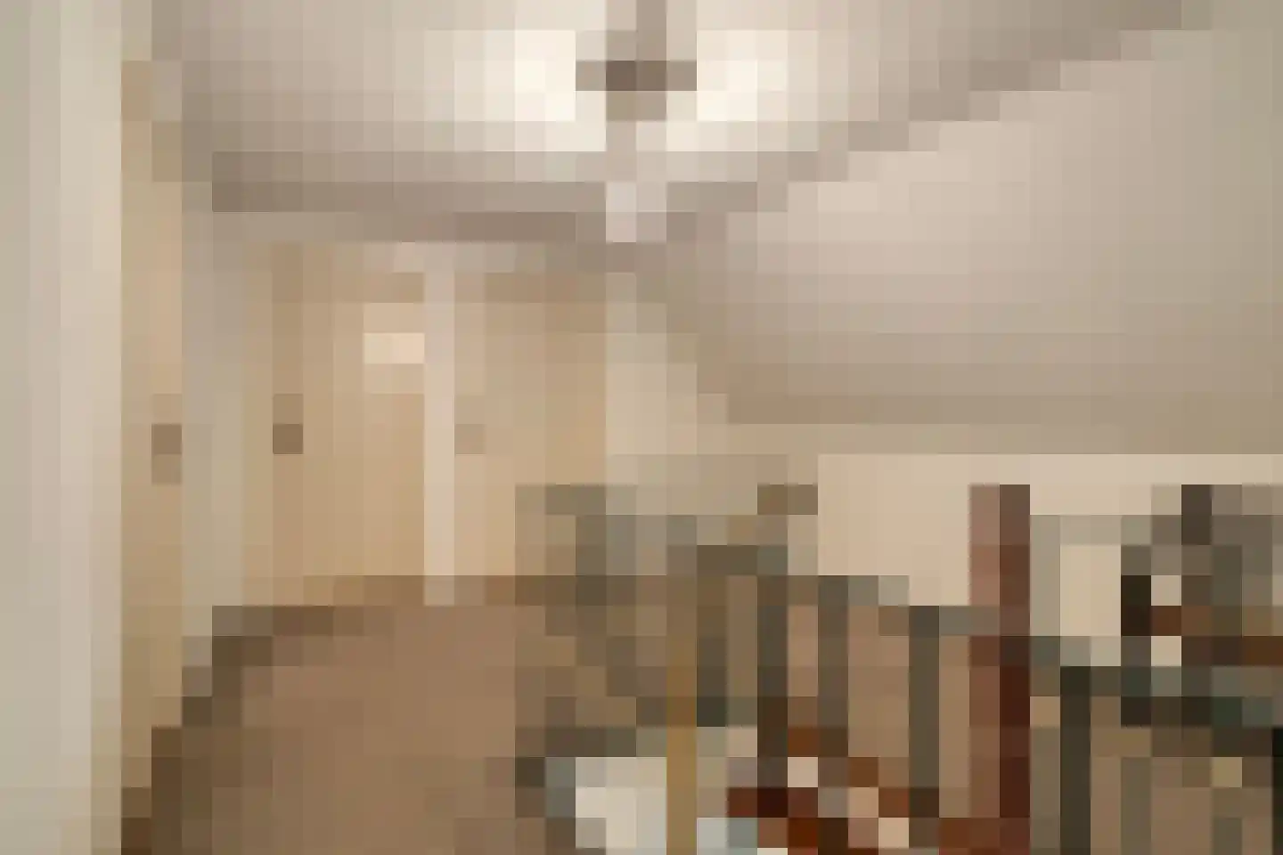 van Douverenstraat 14 Horst thumbnail 19