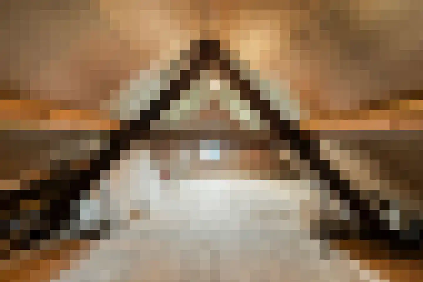 van Douverenstraat 14 Horst thumbnail 24