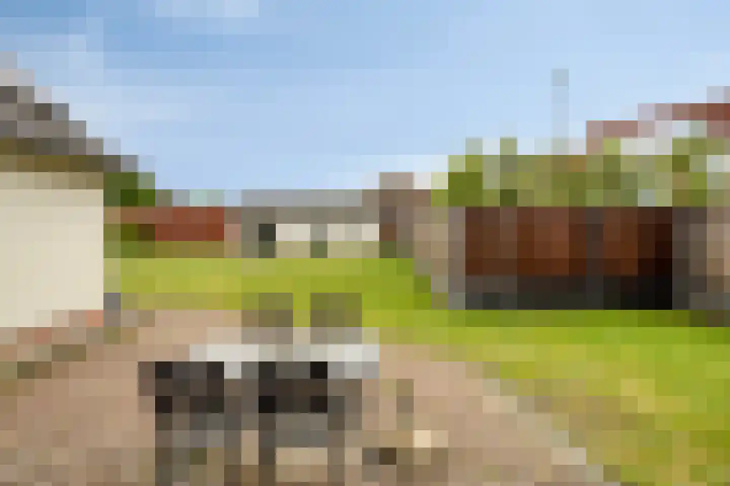 van Douverenstraat 14 Horst thumbnail 26