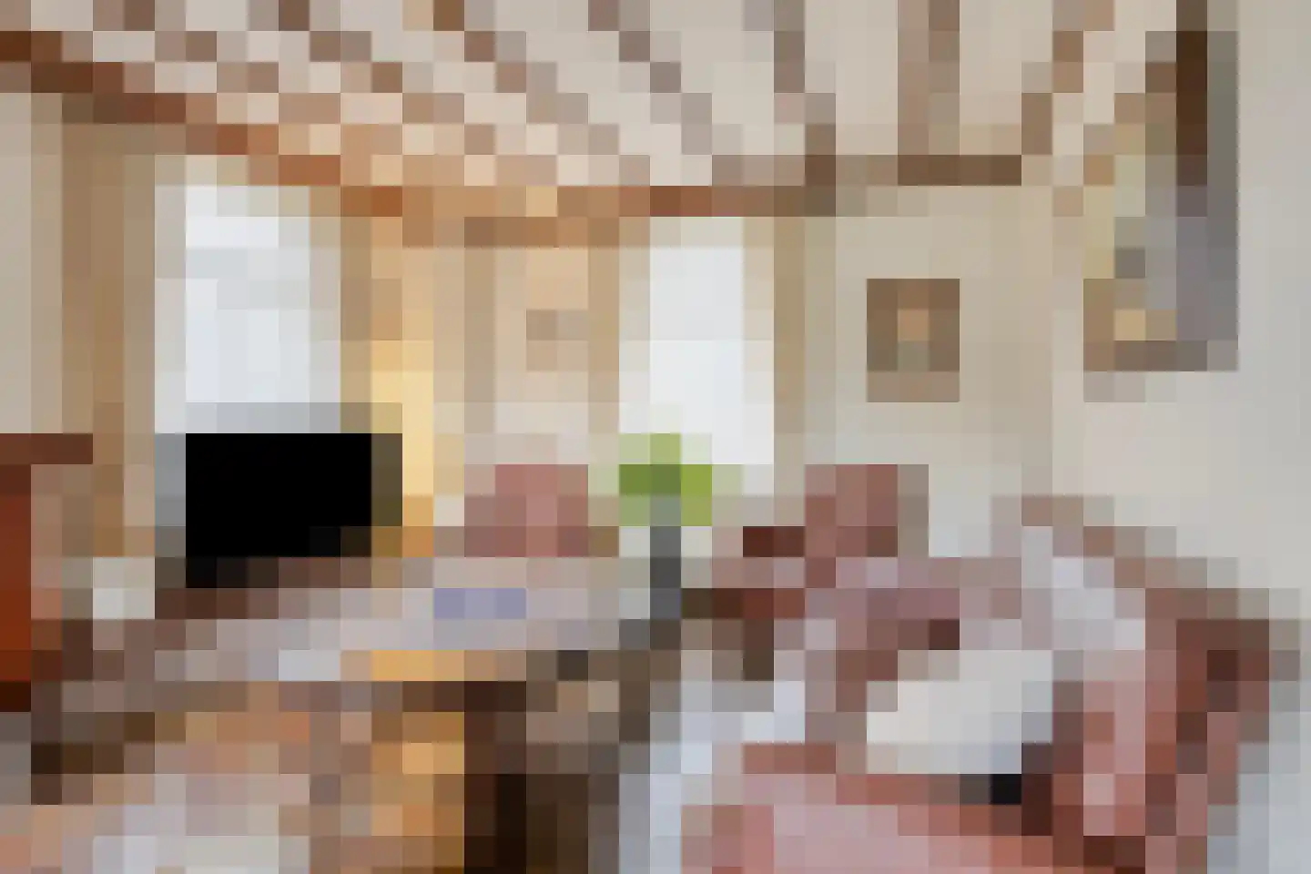 van Douverenstraat 14 Horst thumbnail 8
