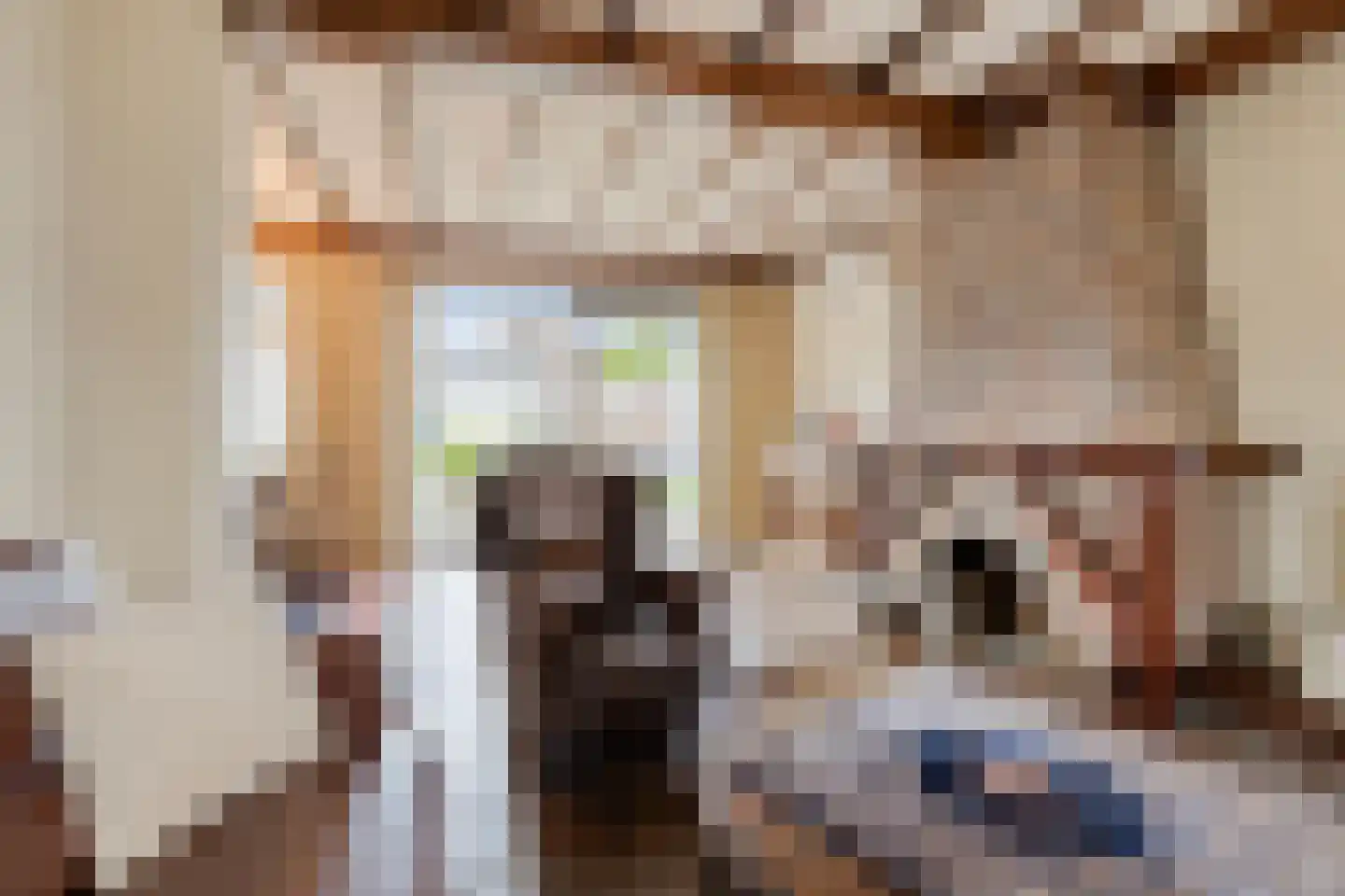van Douverenstraat 14 Horst thumbnail 9