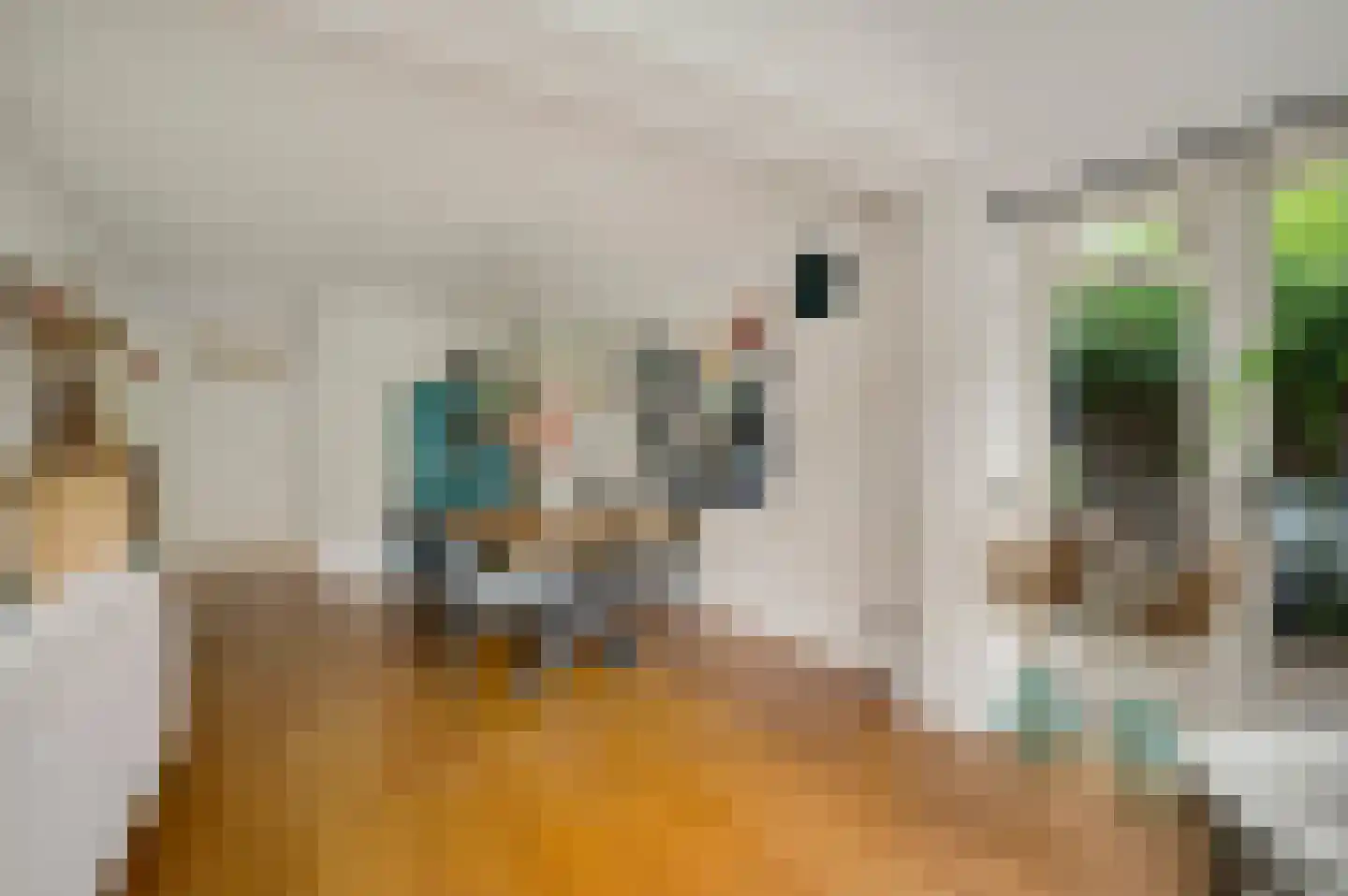van Douverenstraat 39 Horst thumbnail 14