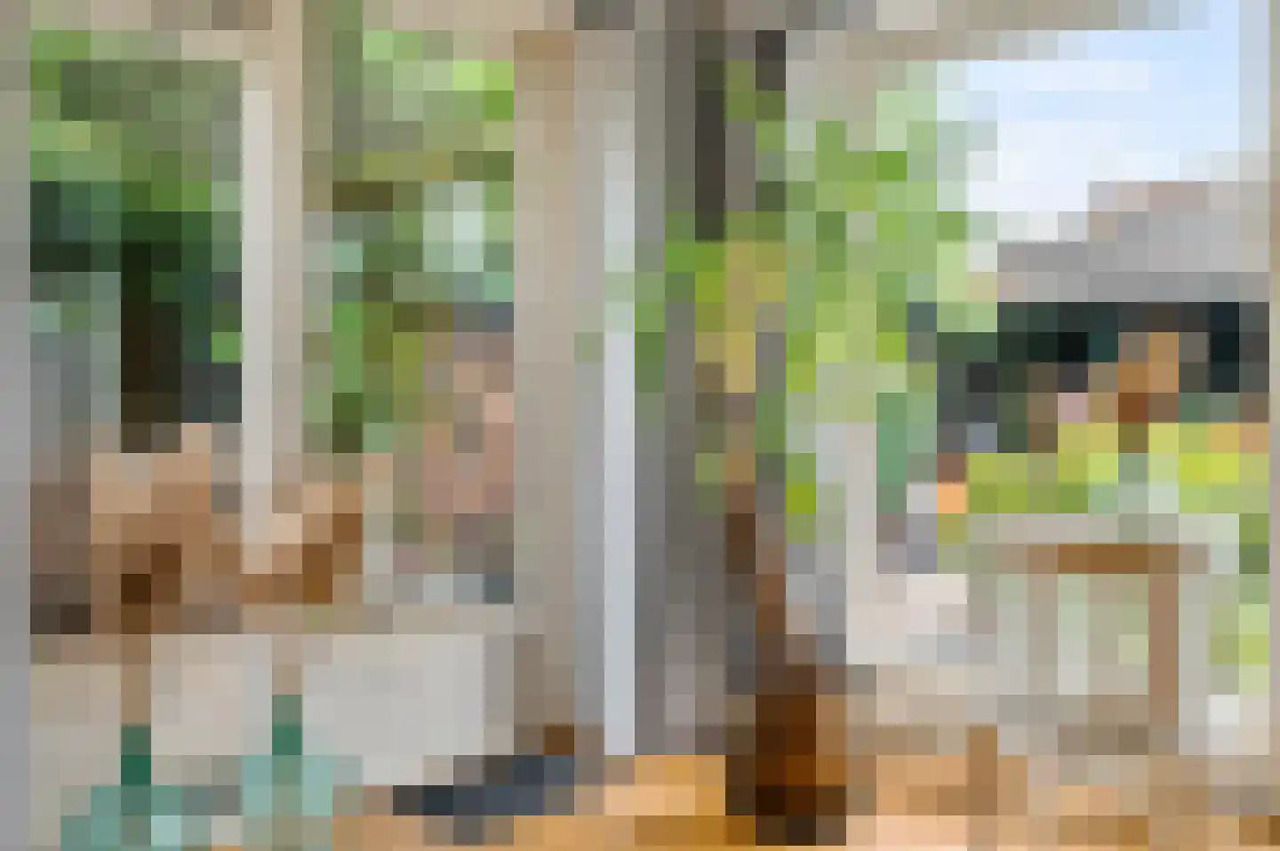 van Douverenstraat 39 Horst thumbnail 15