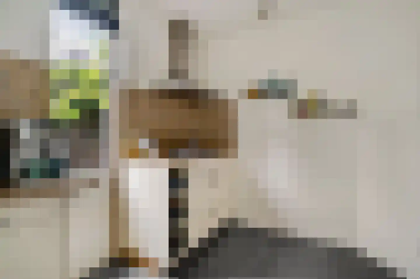 van Douverenstraat 39 Horst thumbnail 17