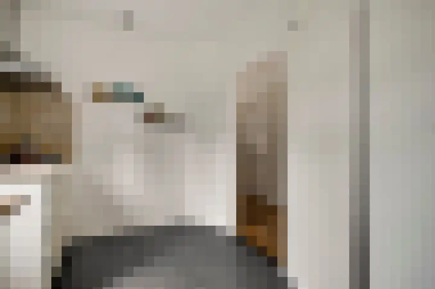 van Douverenstraat 39 Horst thumbnail 18