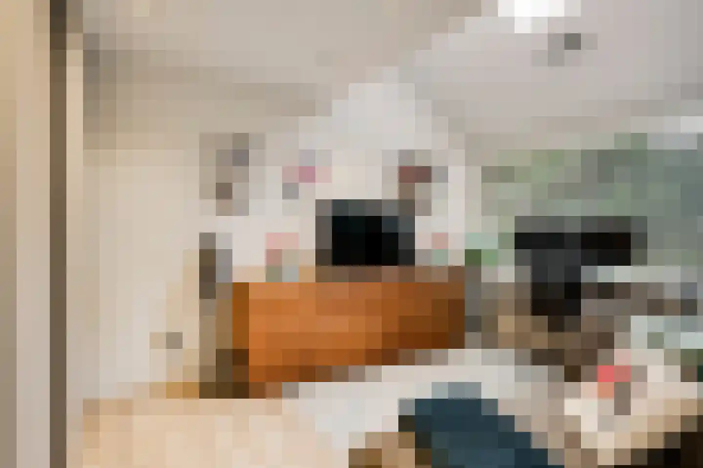 van Douverenstraat 39 Horst thumbnail 20