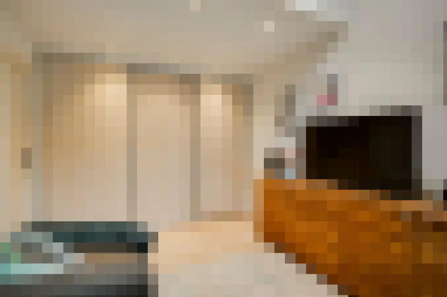 van Douverenstraat 39 Horst thumbnail 22