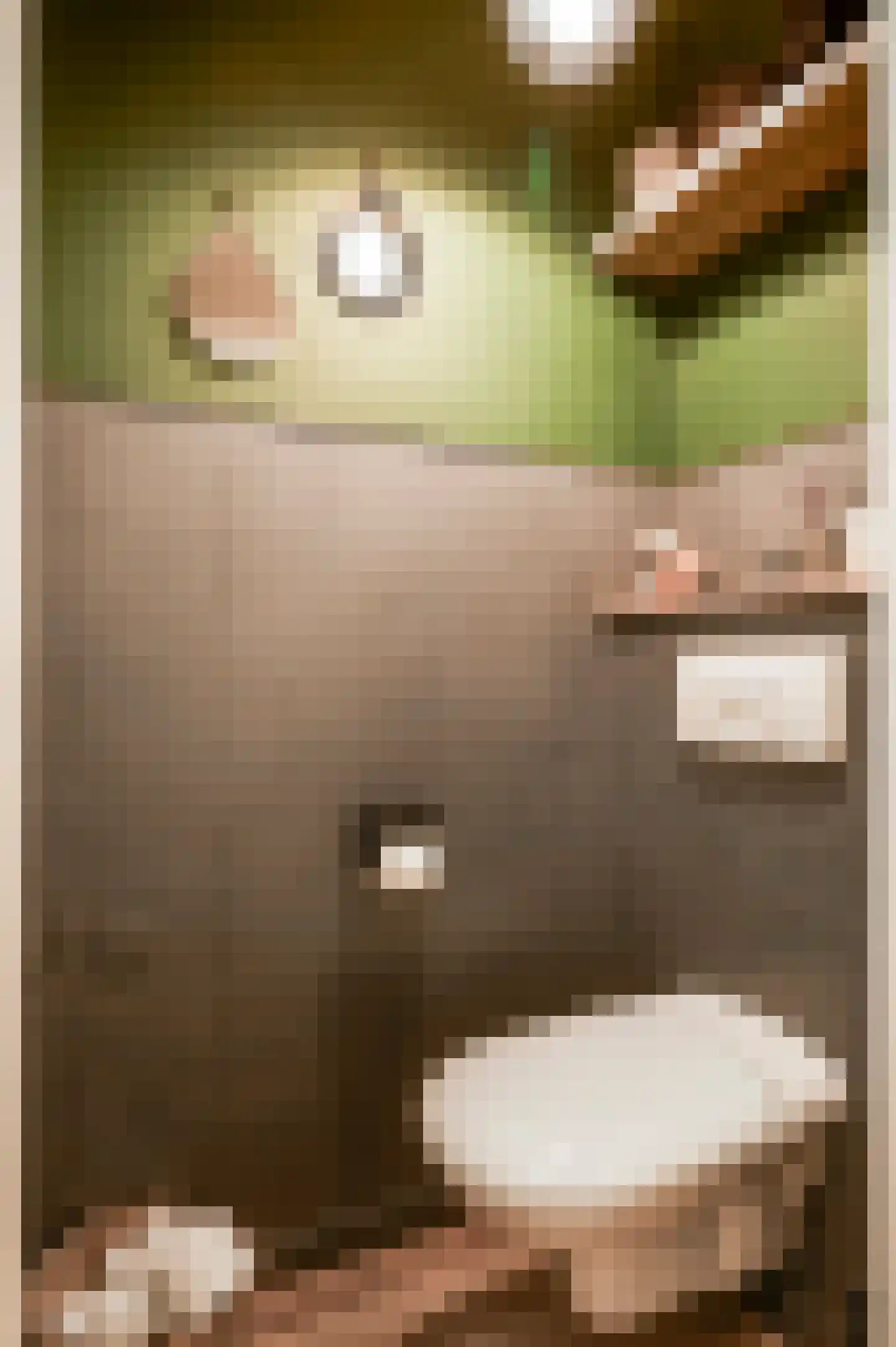 van Douverenstraat 39 Horst thumbnail 26