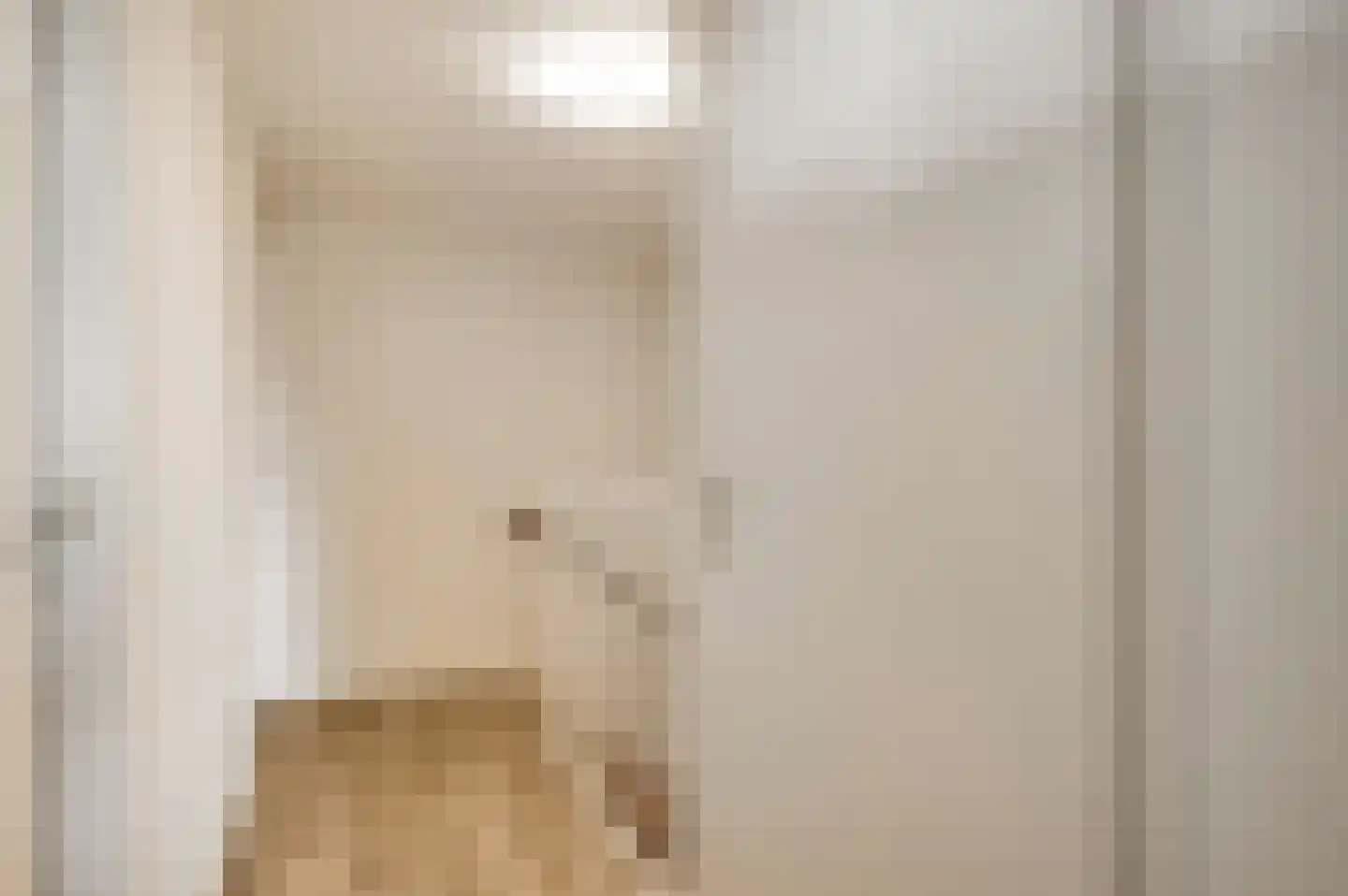 van Douverenstraat 39 Horst thumbnail 28