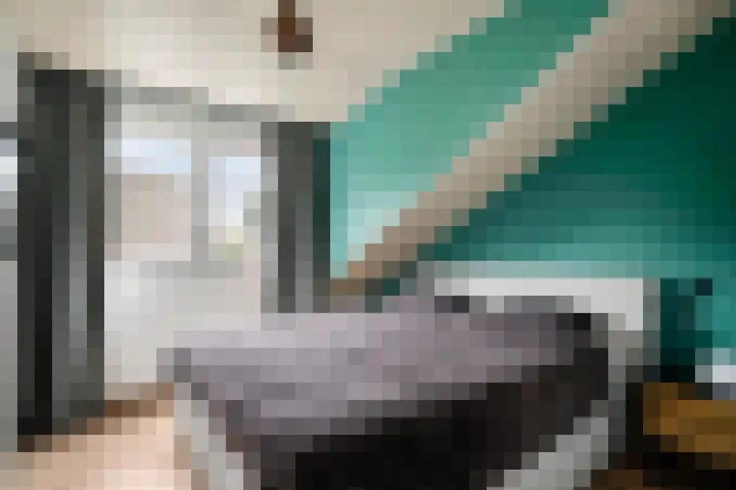 van Douverenstraat 39 Horst thumbnail 31