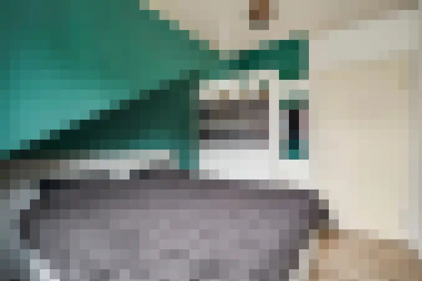 van Douverenstraat 39 Horst thumbnail 32