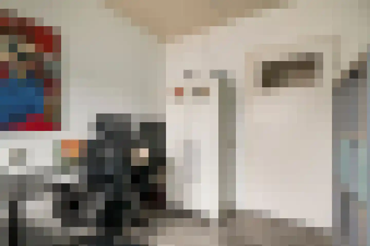 van Douverenstraat 39 Horst thumbnail 34