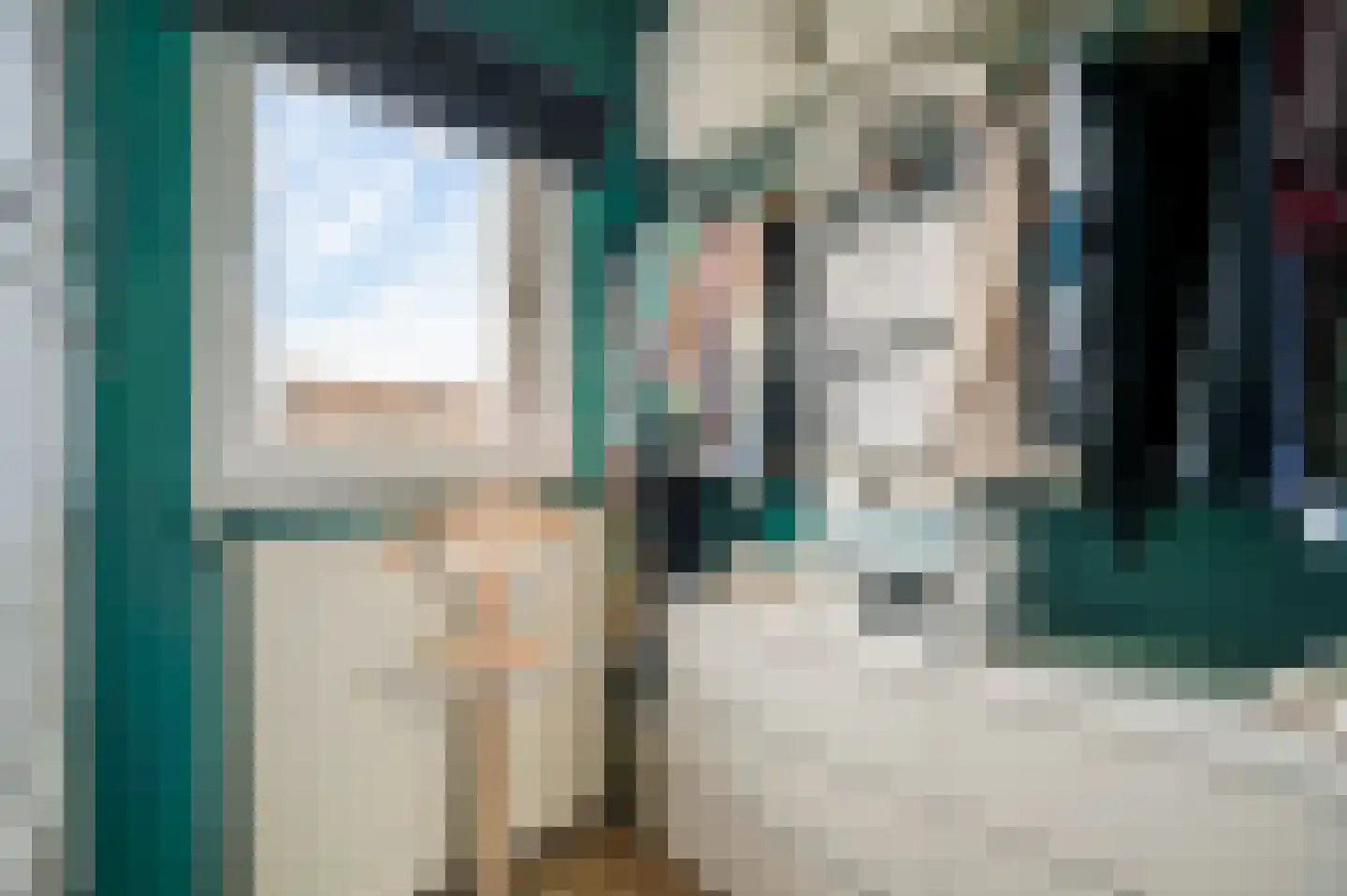 van Douverenstraat 39 Horst thumbnail 35