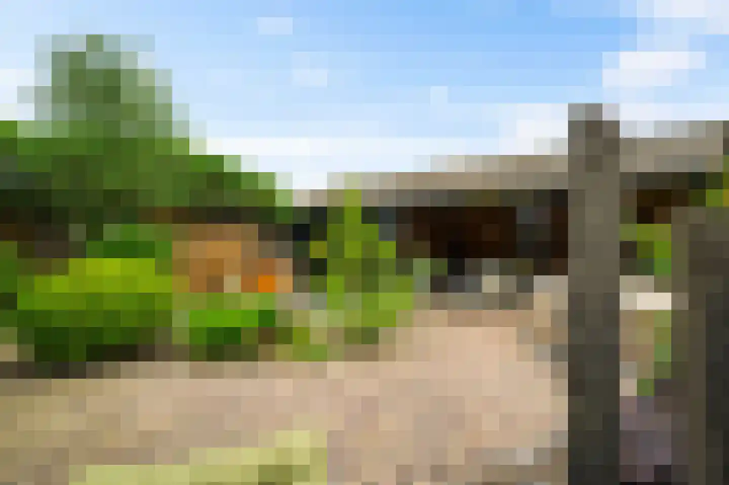 van Douverenstraat 39 Horst thumbnail 38