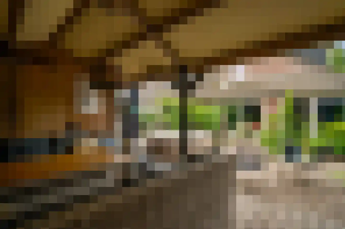 van Douverenstraat 39 Horst thumbnail 40