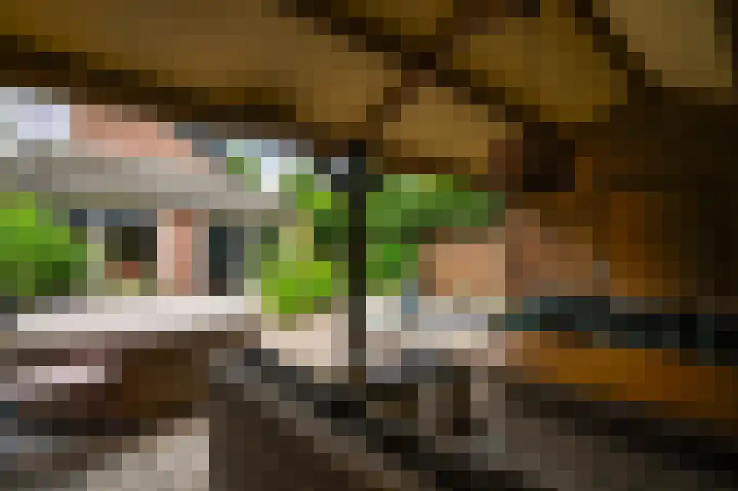 van Douverenstraat 39 Horst thumbnail 41