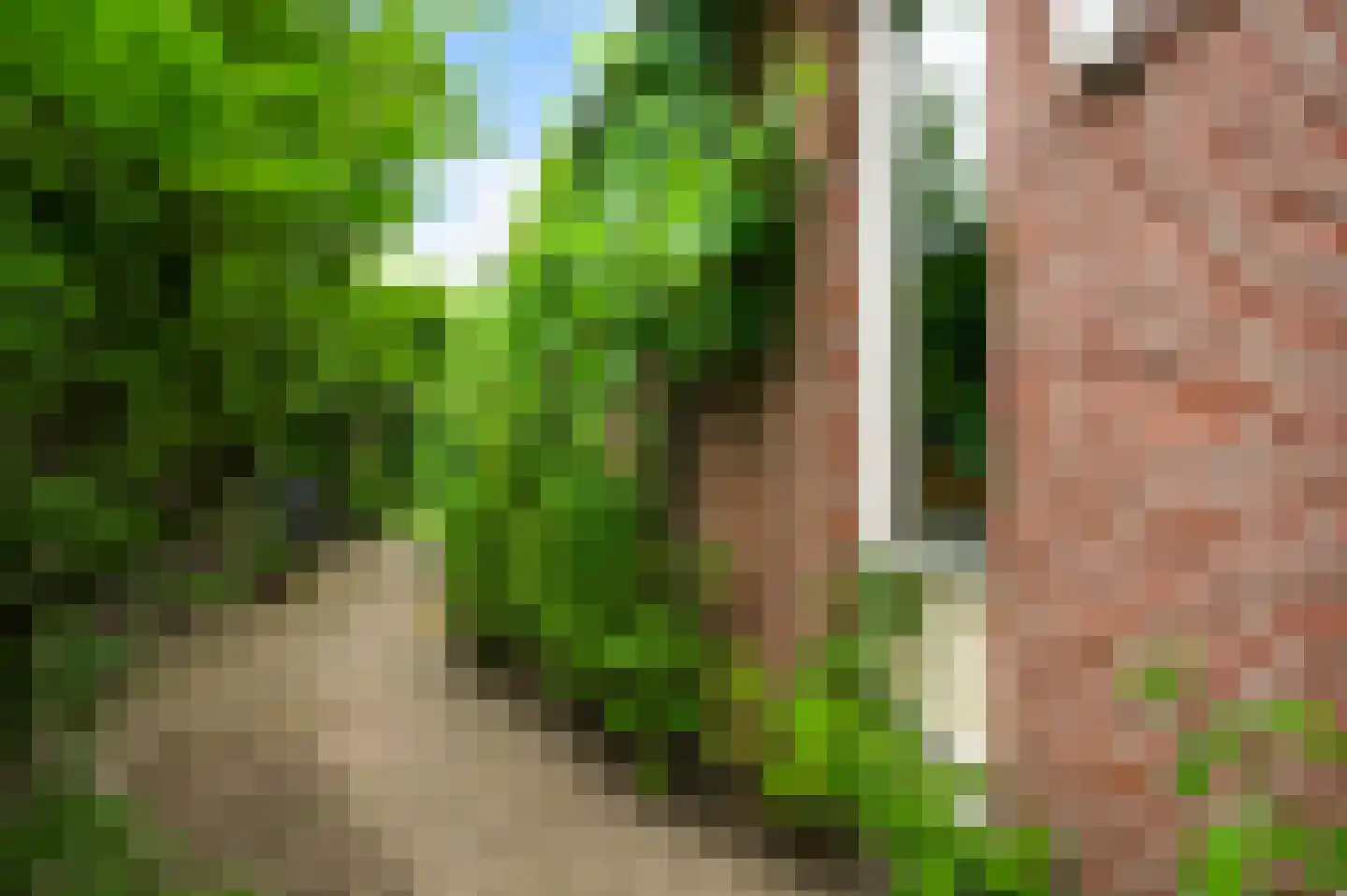 van Douverenstraat 39 Horst thumbnail 43