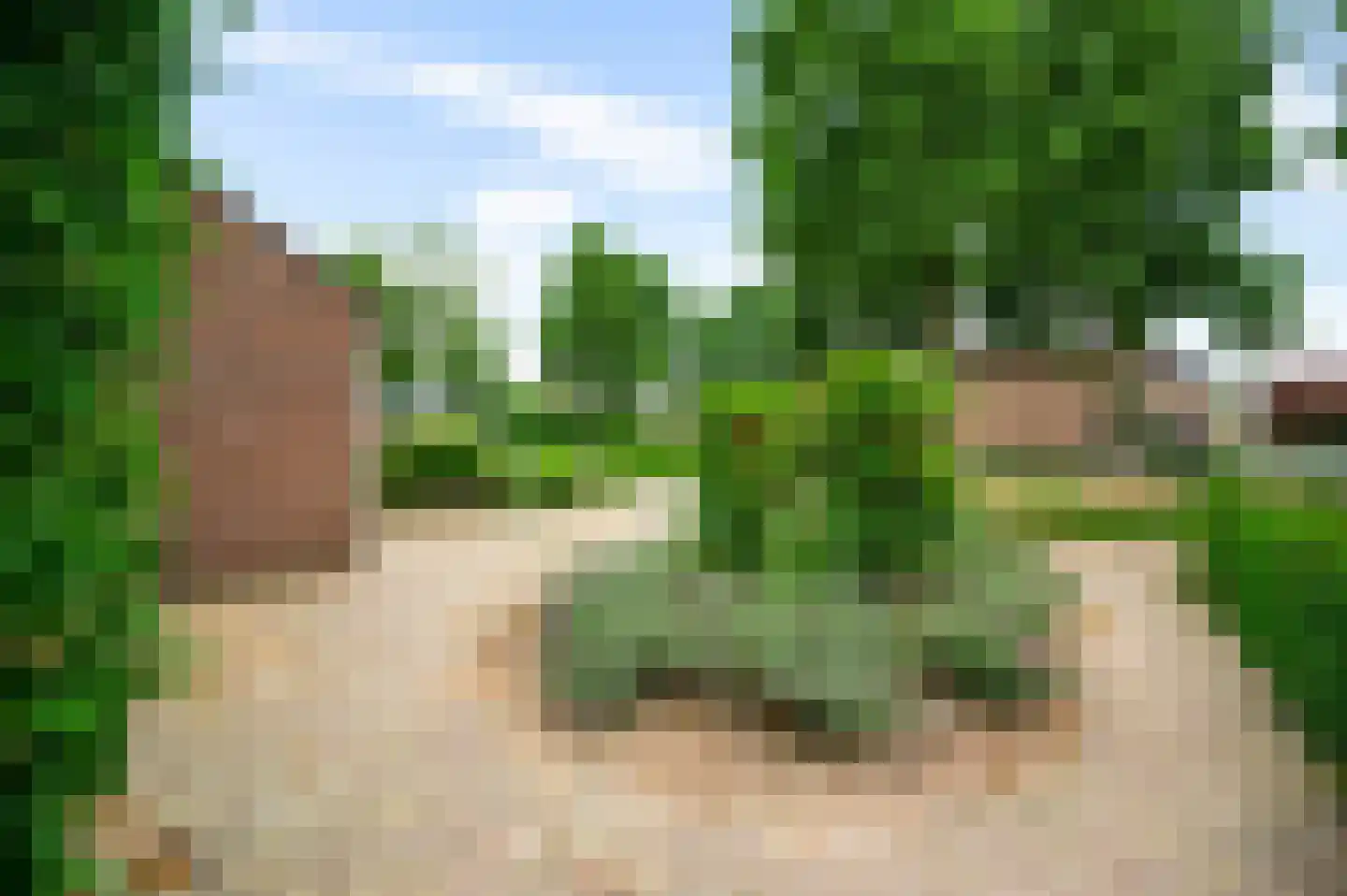 van Douverenstraat 39 Horst thumbnail 44