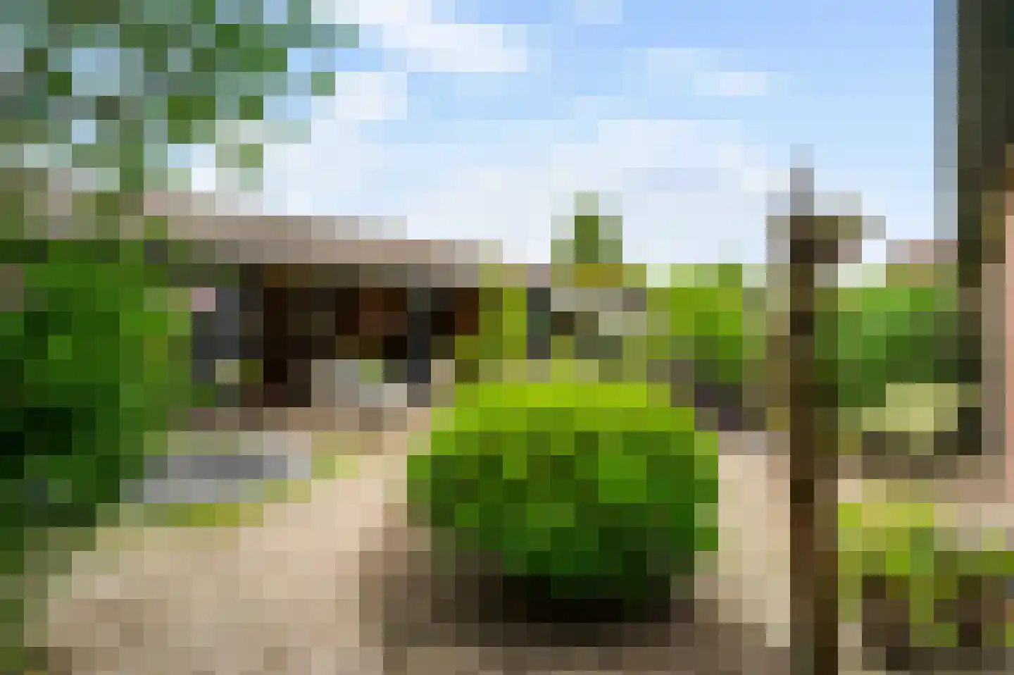 van Douverenstraat 39 Horst thumbnail 5