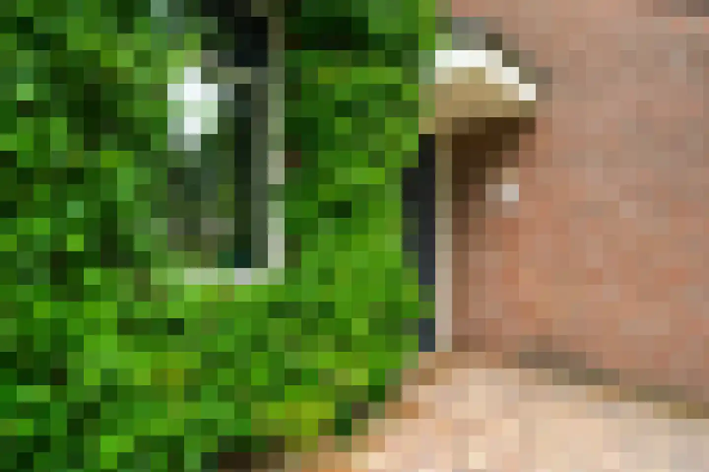 van Douverenstraat 39 Horst thumbnail 6
