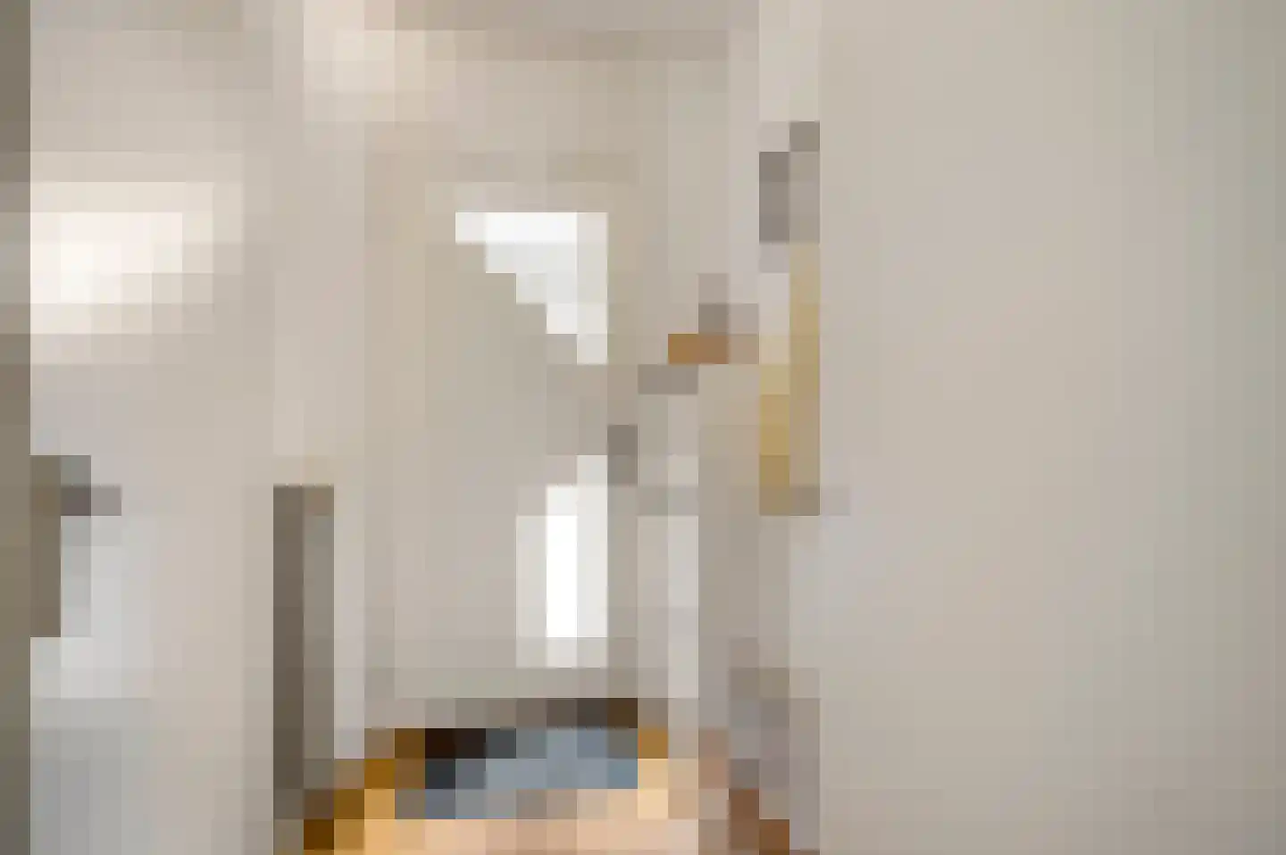 van Douverenstraat 39 Horst thumbnail 7