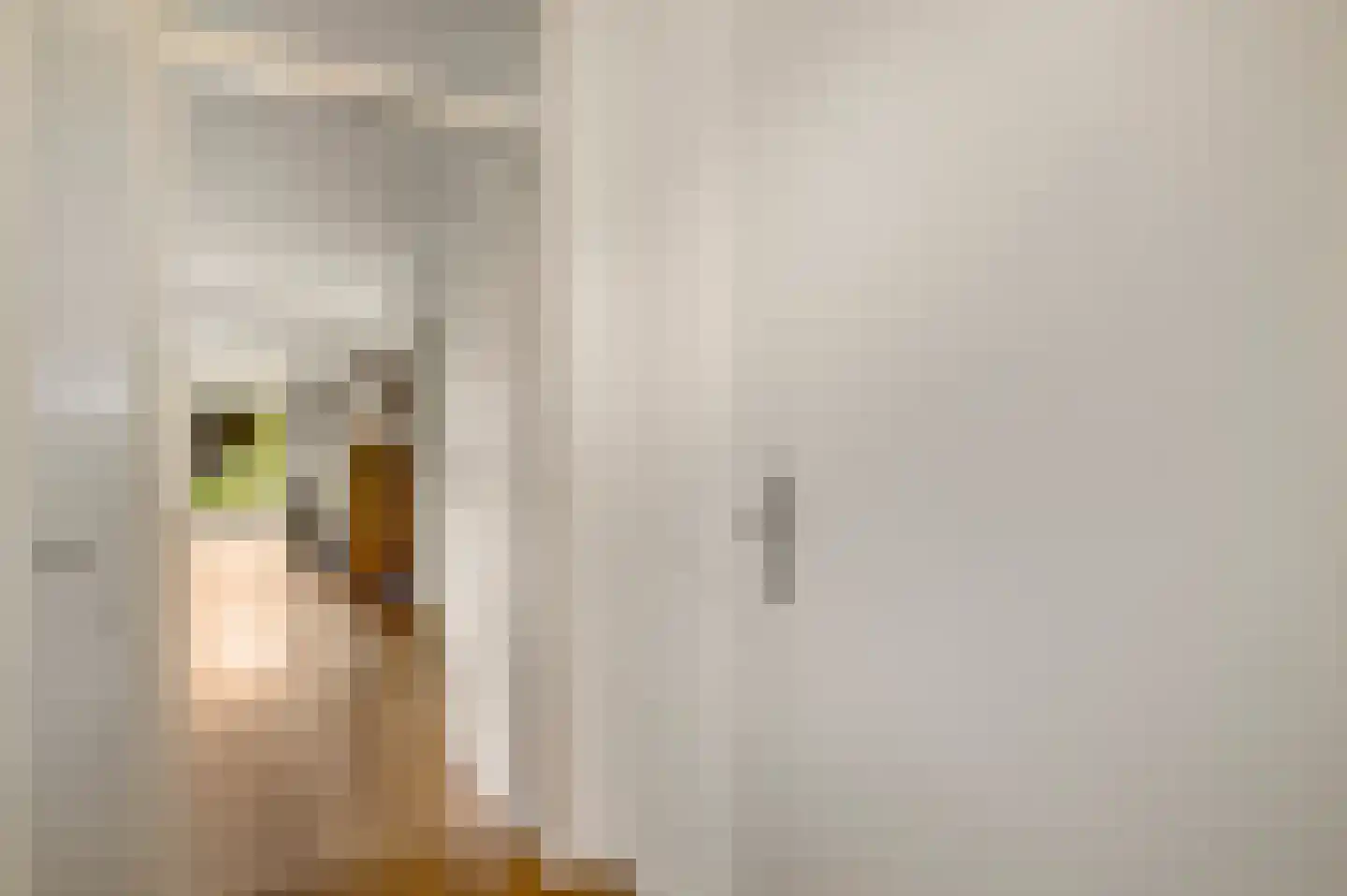 van Douverenstraat 39 Horst thumbnail 8