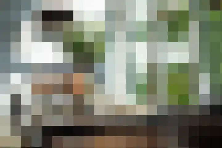 van Drenckwaertstraat 12 Giessenburg thumbnail 4