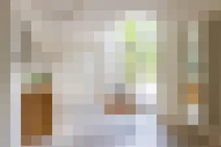 Van Driellaan 10 Huizen thumbnail 11