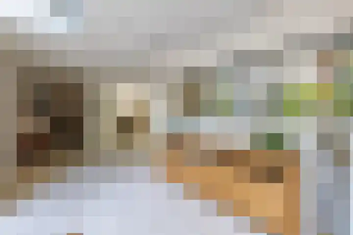 Van Driellaan 10 Huizen thumbnail 13