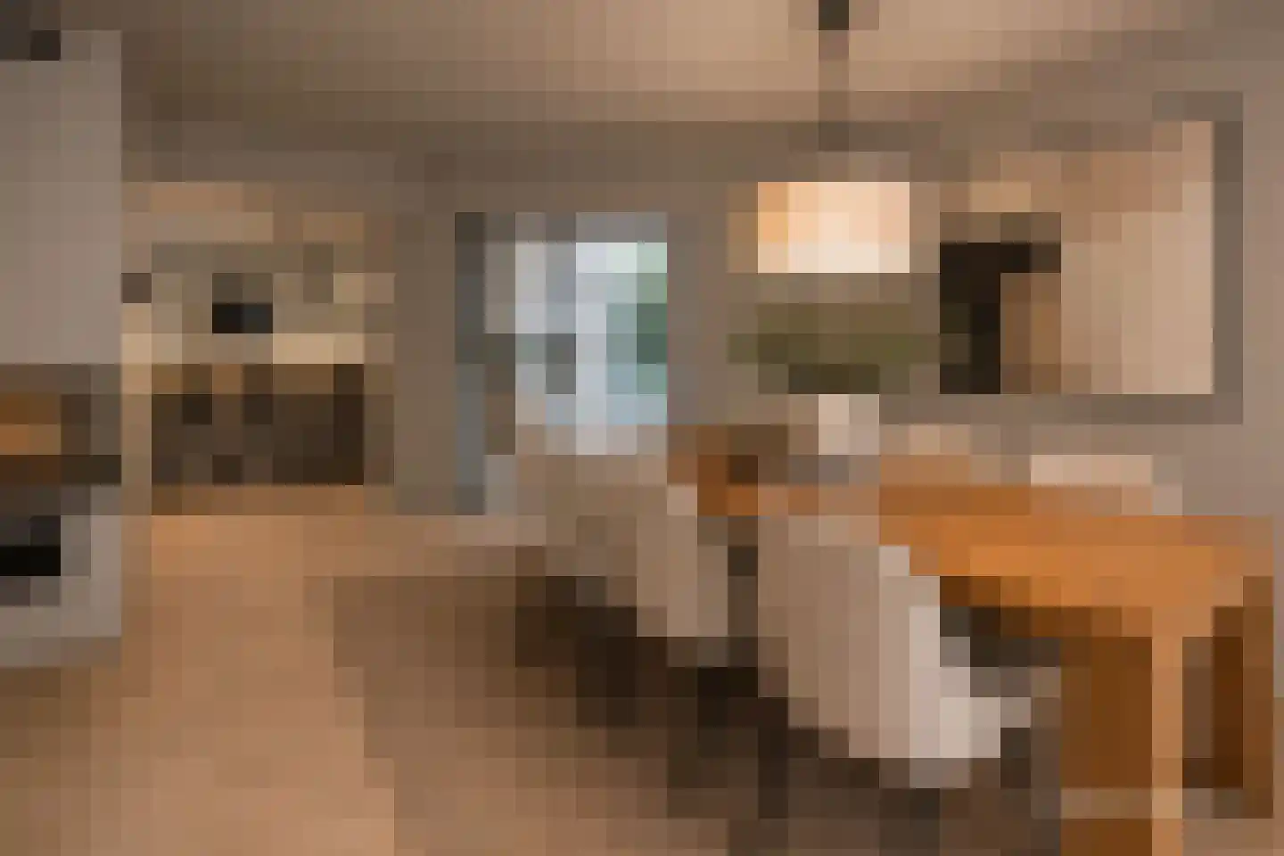 Van Driellaan 10 Huizen thumbnail 13
