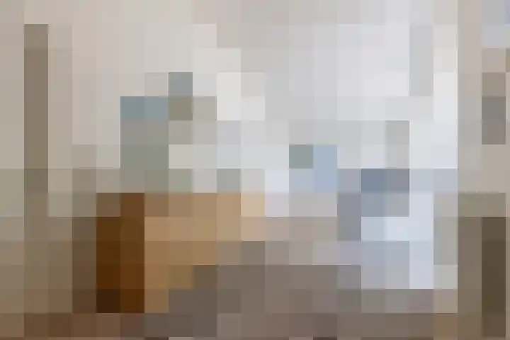 Van Driellaan 10 Huizen thumbnail 14