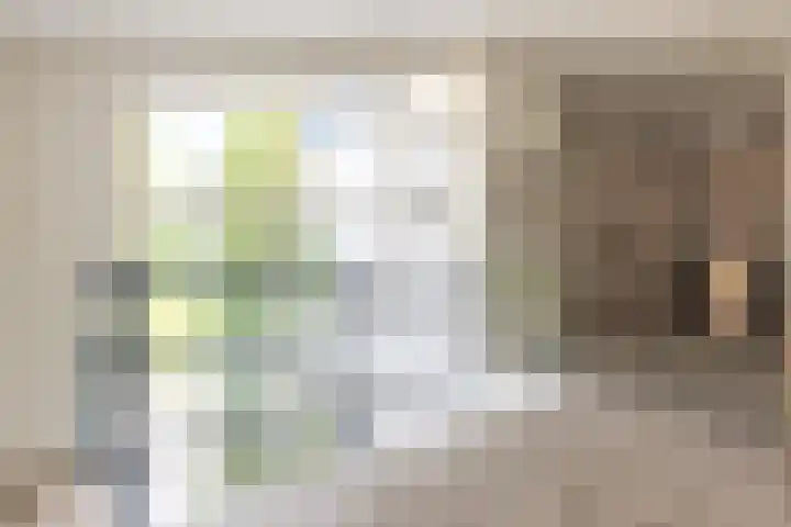 Van Driellaan 10 Huizen thumbnail 15