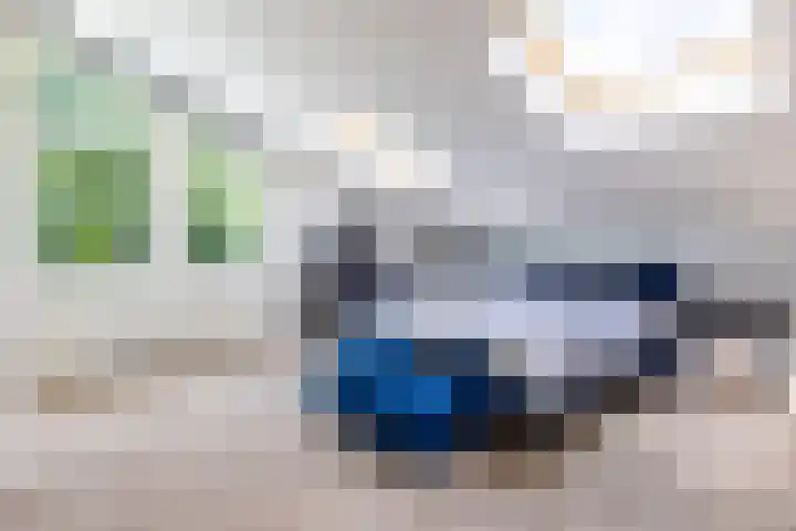Van Driellaan 10 Huizen thumbnail 17