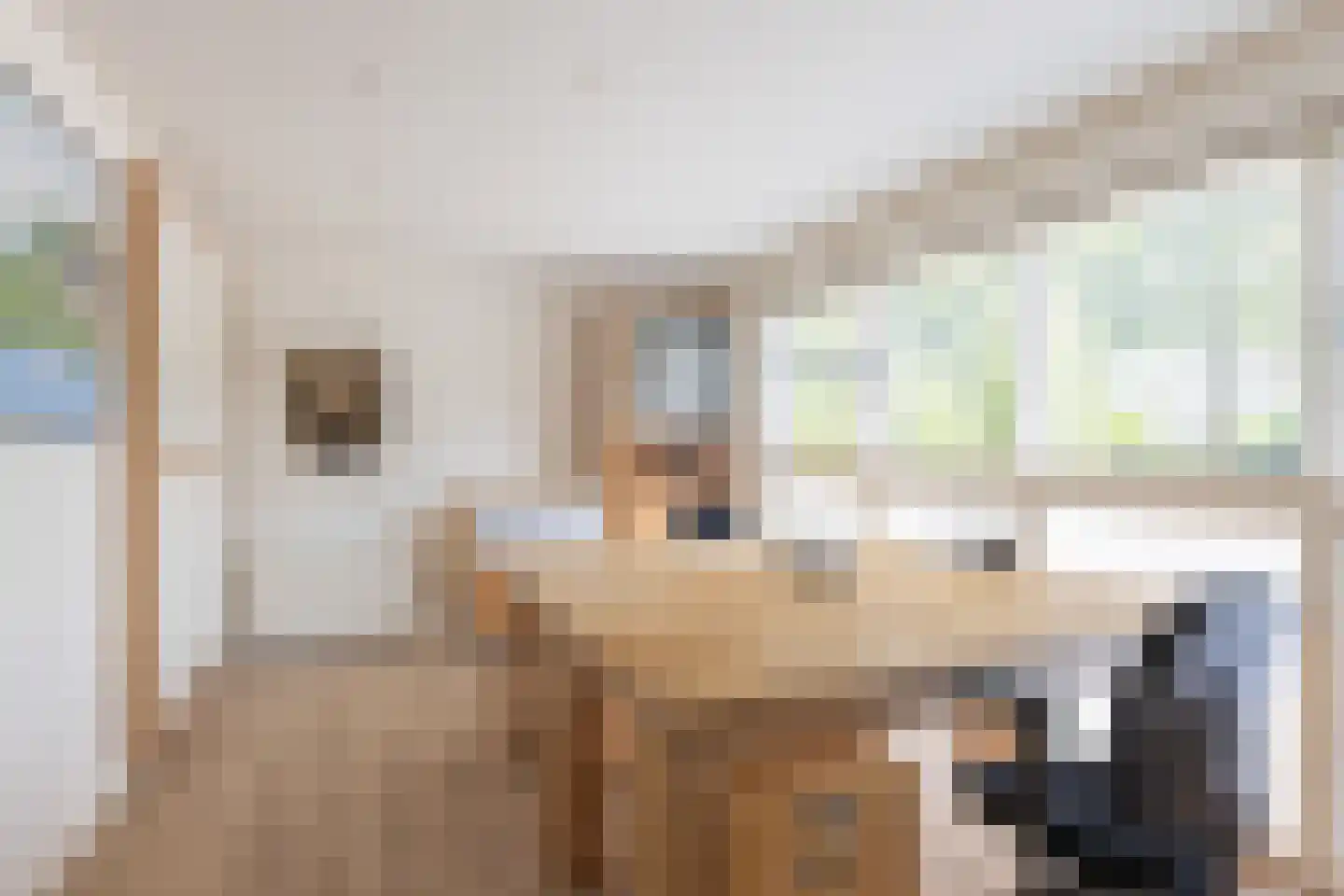 Van Driellaan 10 Huizen thumbnail 17
